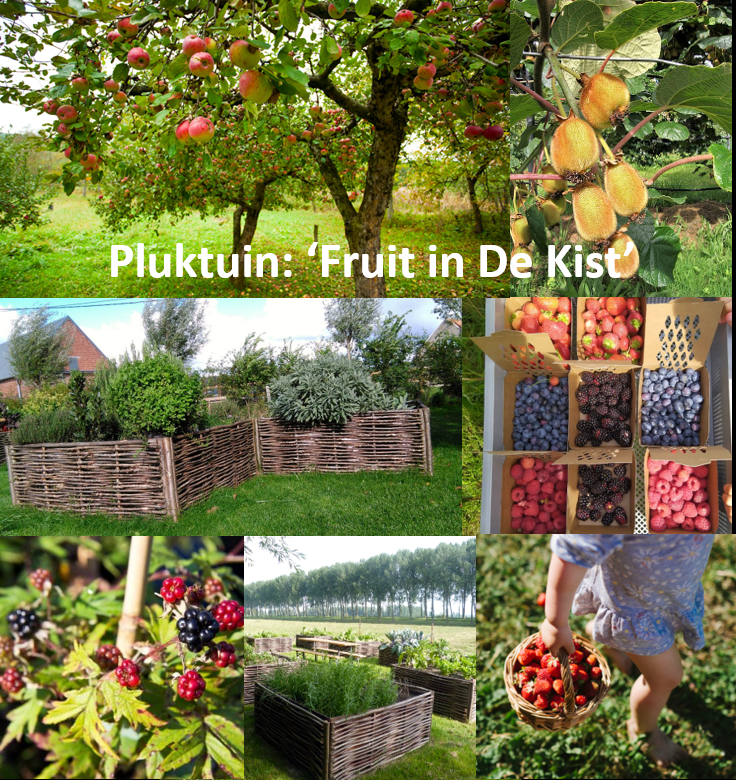 Pluktuin Fruit in De Kist.png